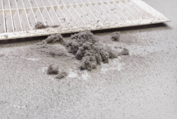 Best Best Air Duct Cleaning Company  in Crisfield, MD